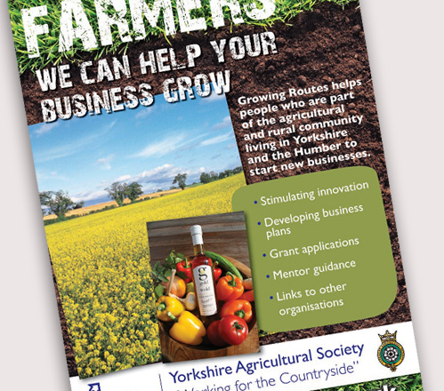 Growing Roots Marketing, Banner Design and Promotional Literature