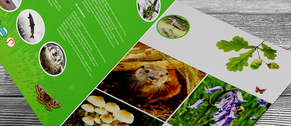 Double page spread from the Distinctly dales brochure